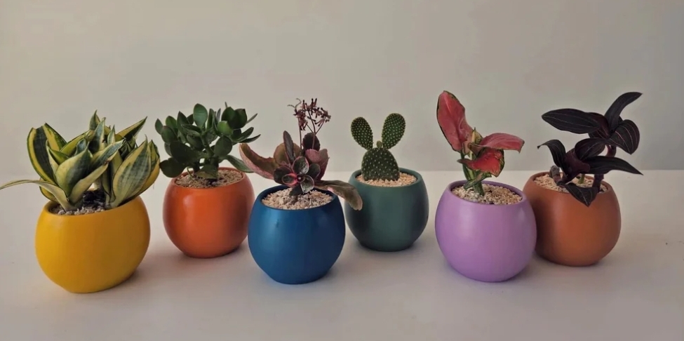 طقم آواني زرع صغيرة - 6 قطع 0