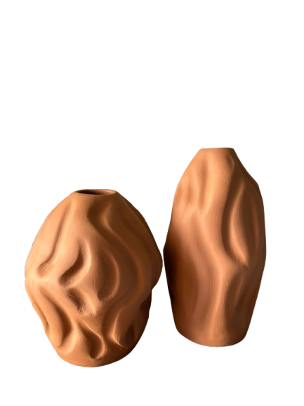 Vilyn Duo Pottery Vases 0