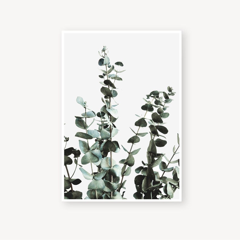 Growing Leaves Print 0