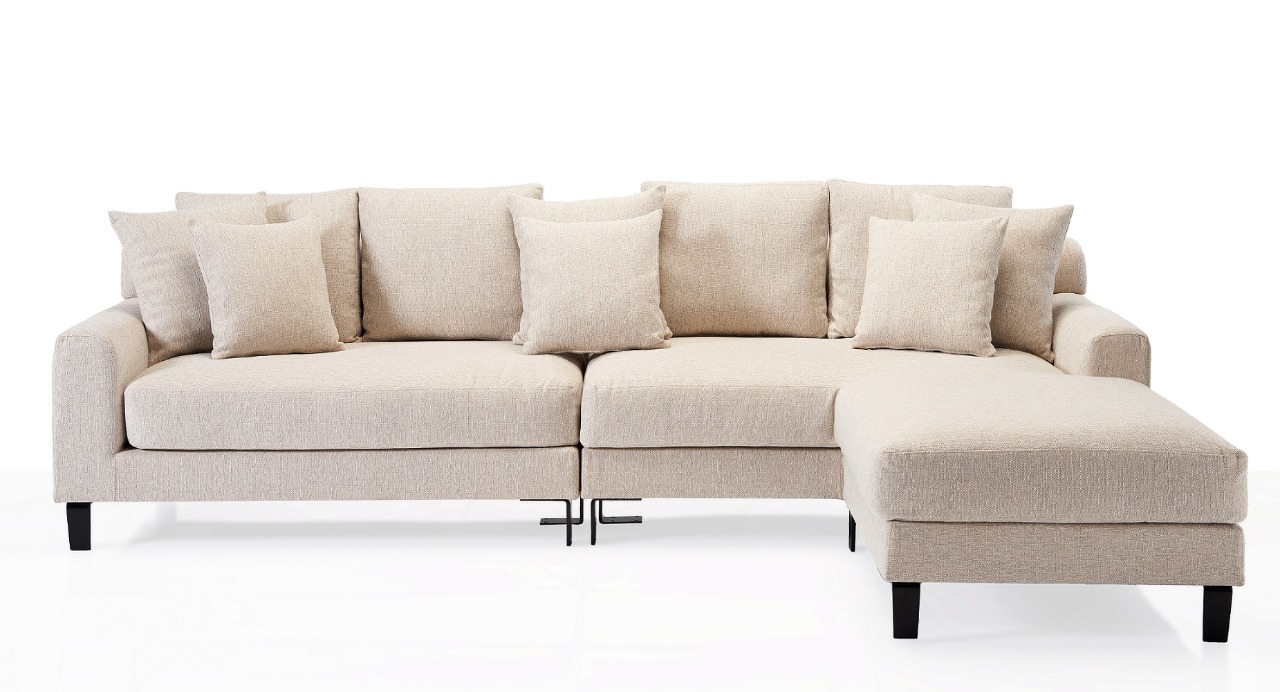 Alenny Modern L-Shape Sofa 0