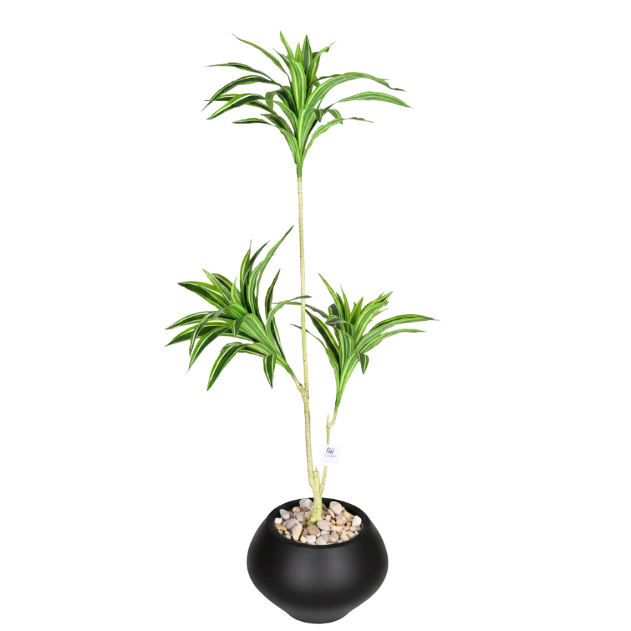 d9248KzRu5x2zWTSTh3smBT7LIpRy4GT2bINMhoa.png