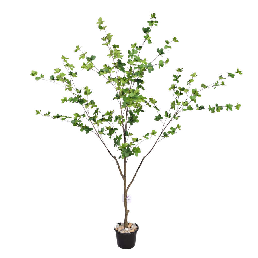 dA6kHaGanidxLVH8Mbl07j437JXYBqtGVB2ho6Fr.png
