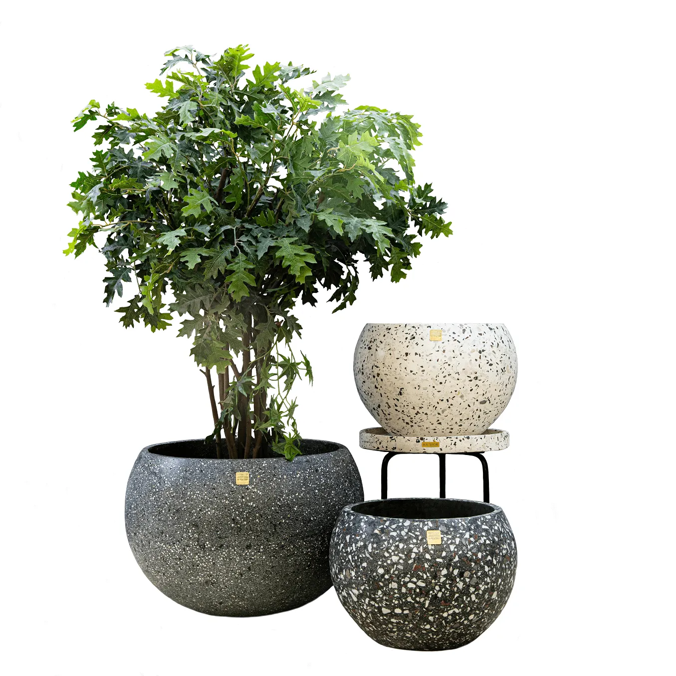 Tut Terrazzo Pot 4