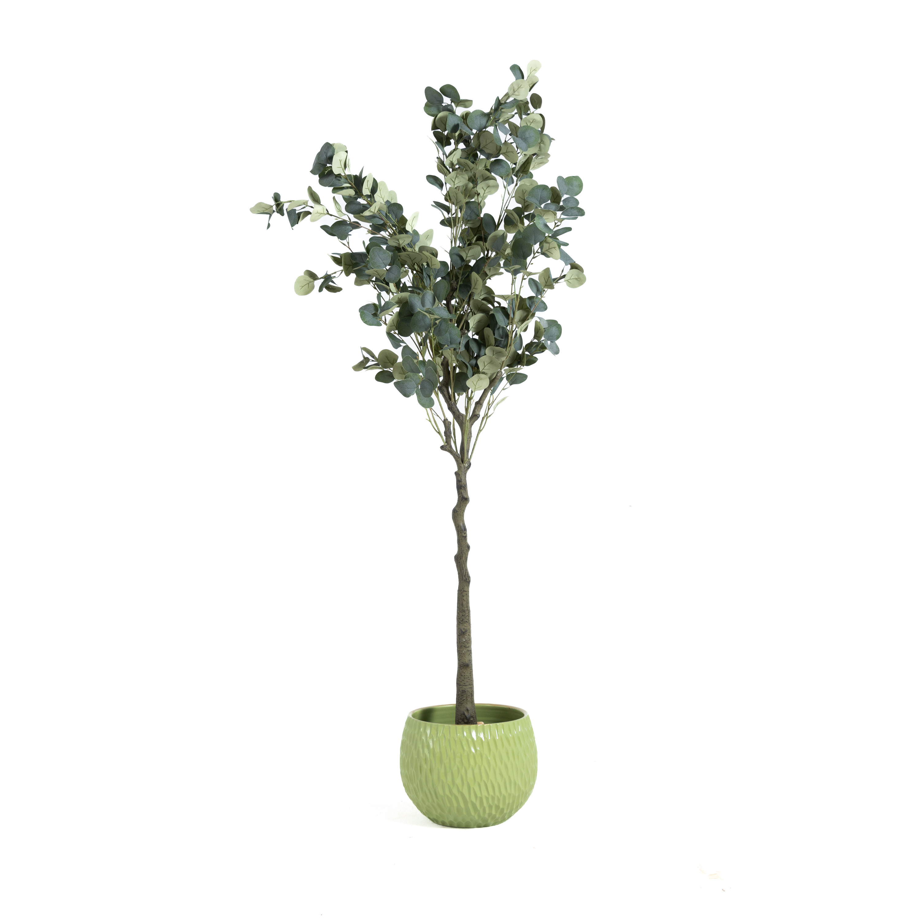 Artificial Eucalyptus Tree 1