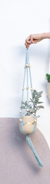 Pila Hanging Planters with a pot 2