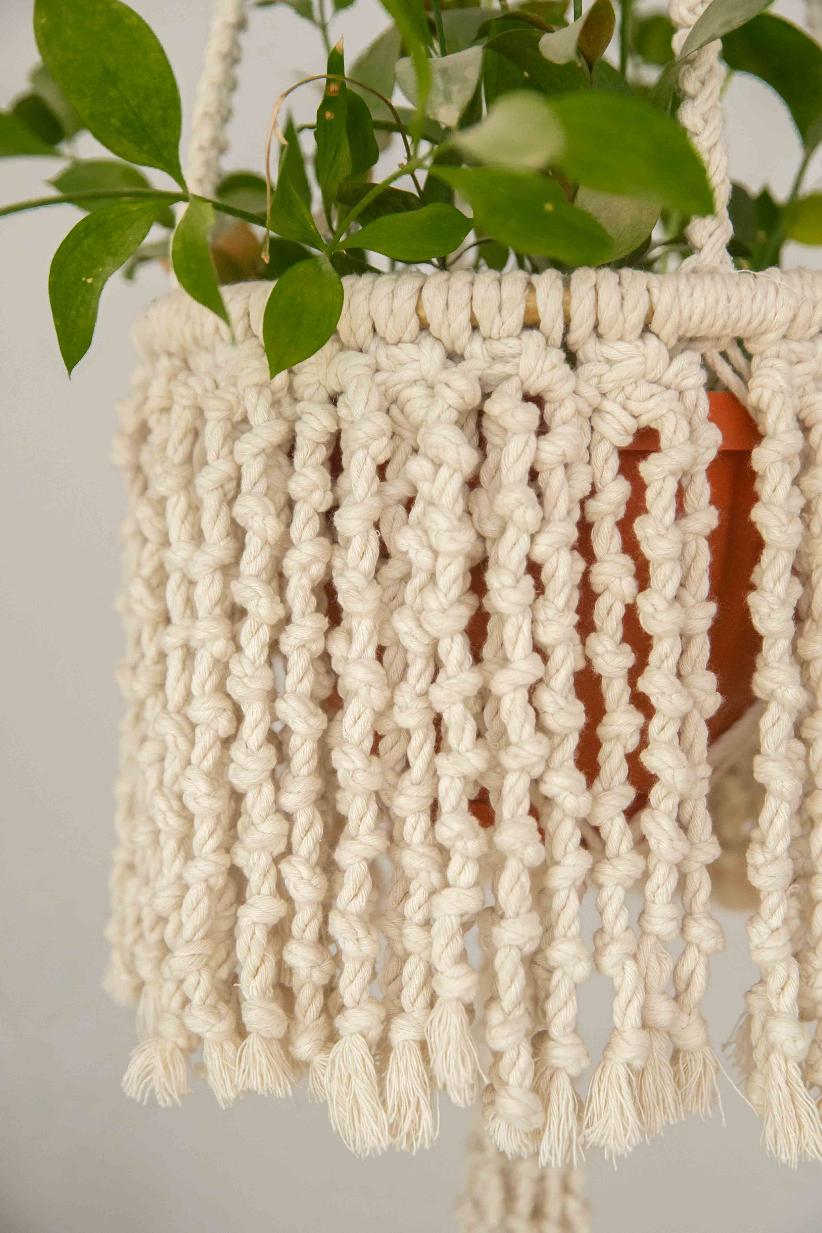 Circle Hanging Planter 1