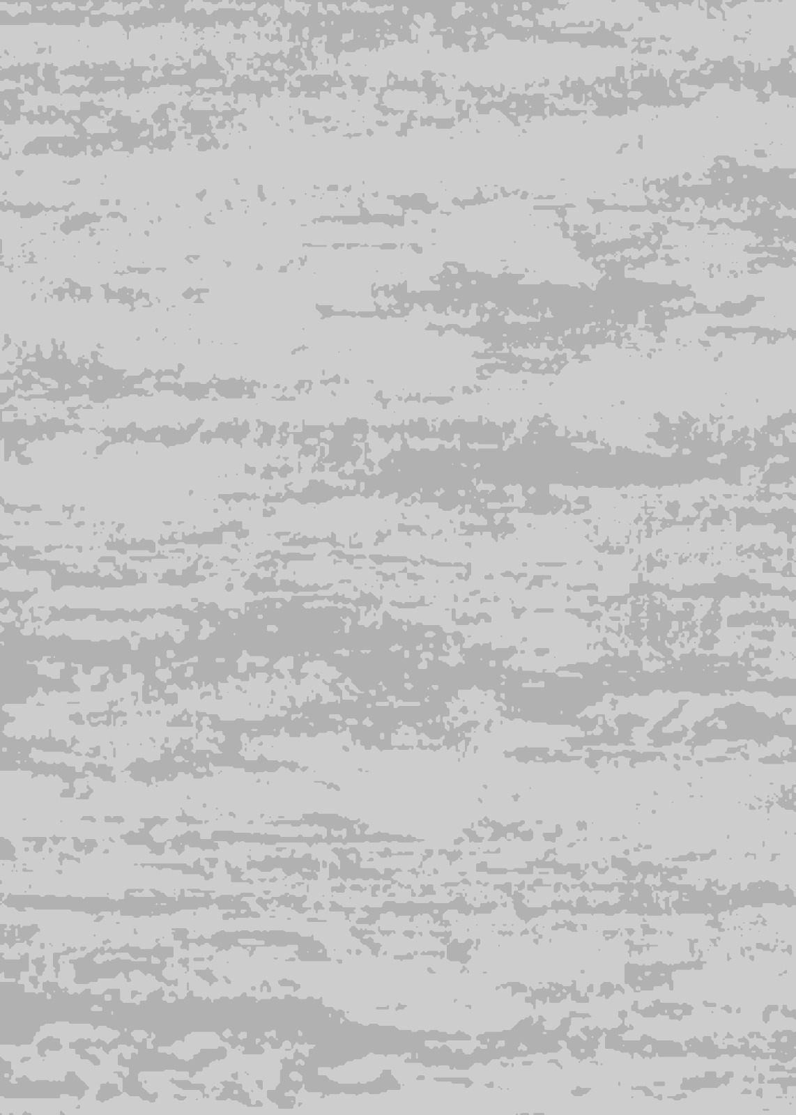 Rug Hand Tufted image