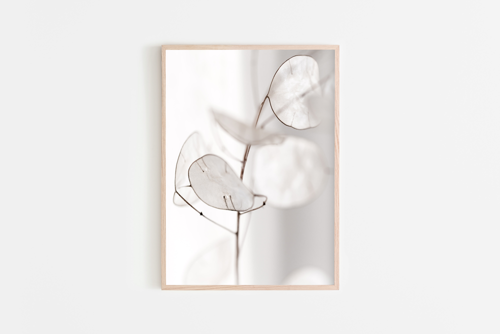 Afloat Lifestyle White Aesthetic Print 1