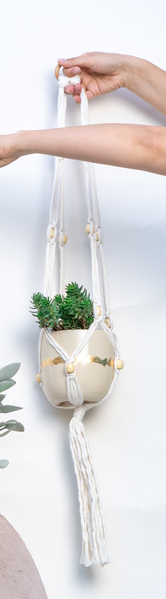 Pila Hanging Planters with a pot 1