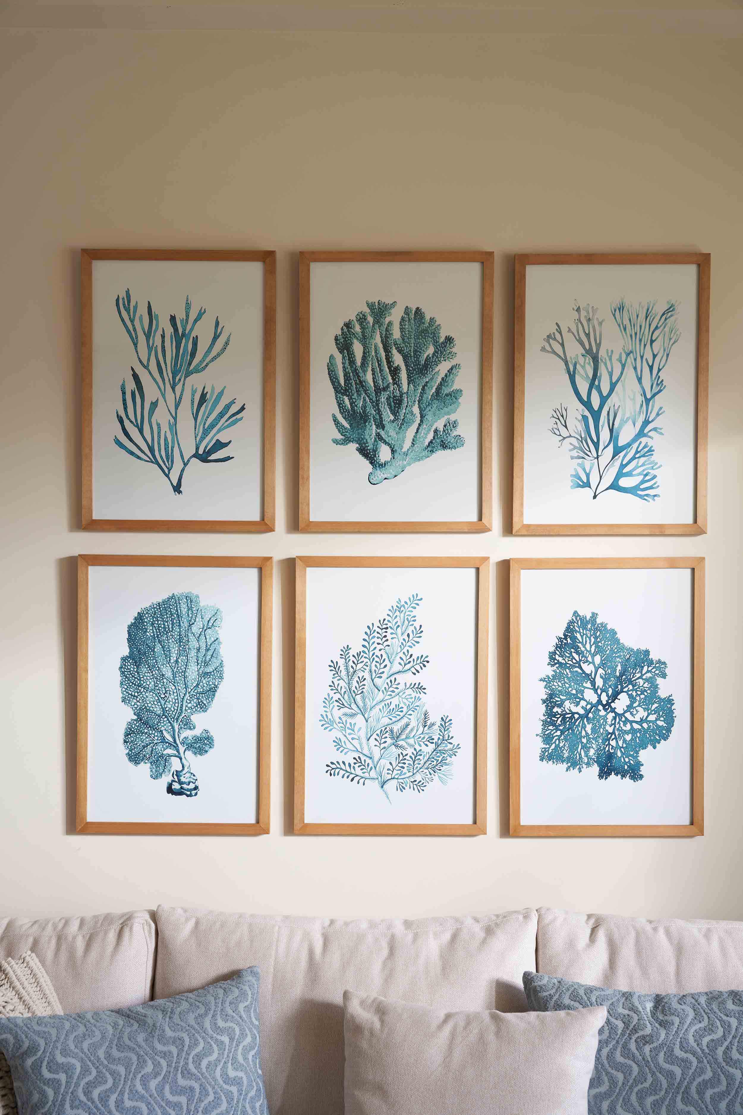Blue Coral Set 1