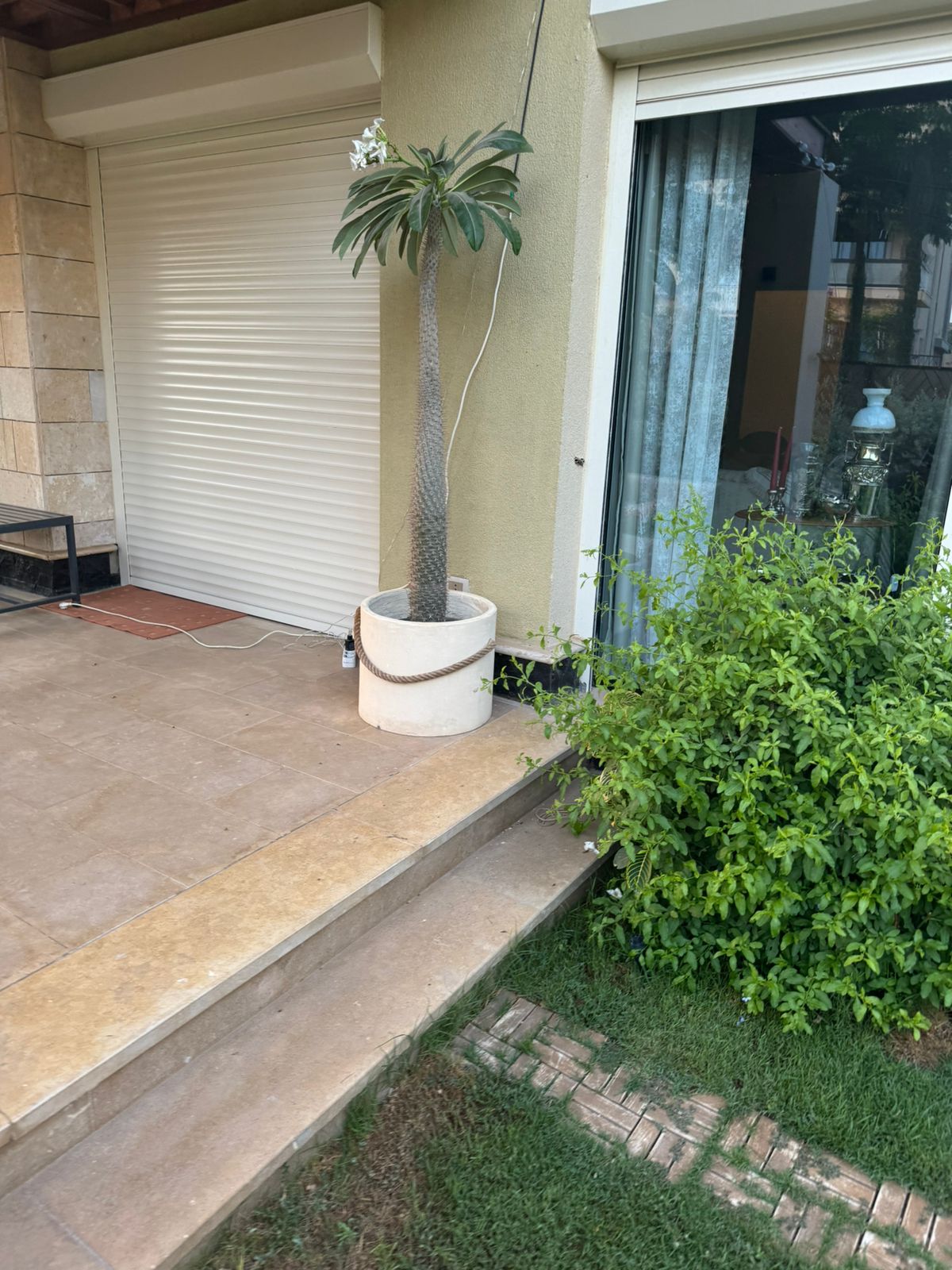 The Big Round Plant Pot 2