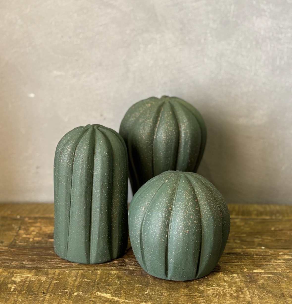 Mini Kaktus Trio Pottery Set 2