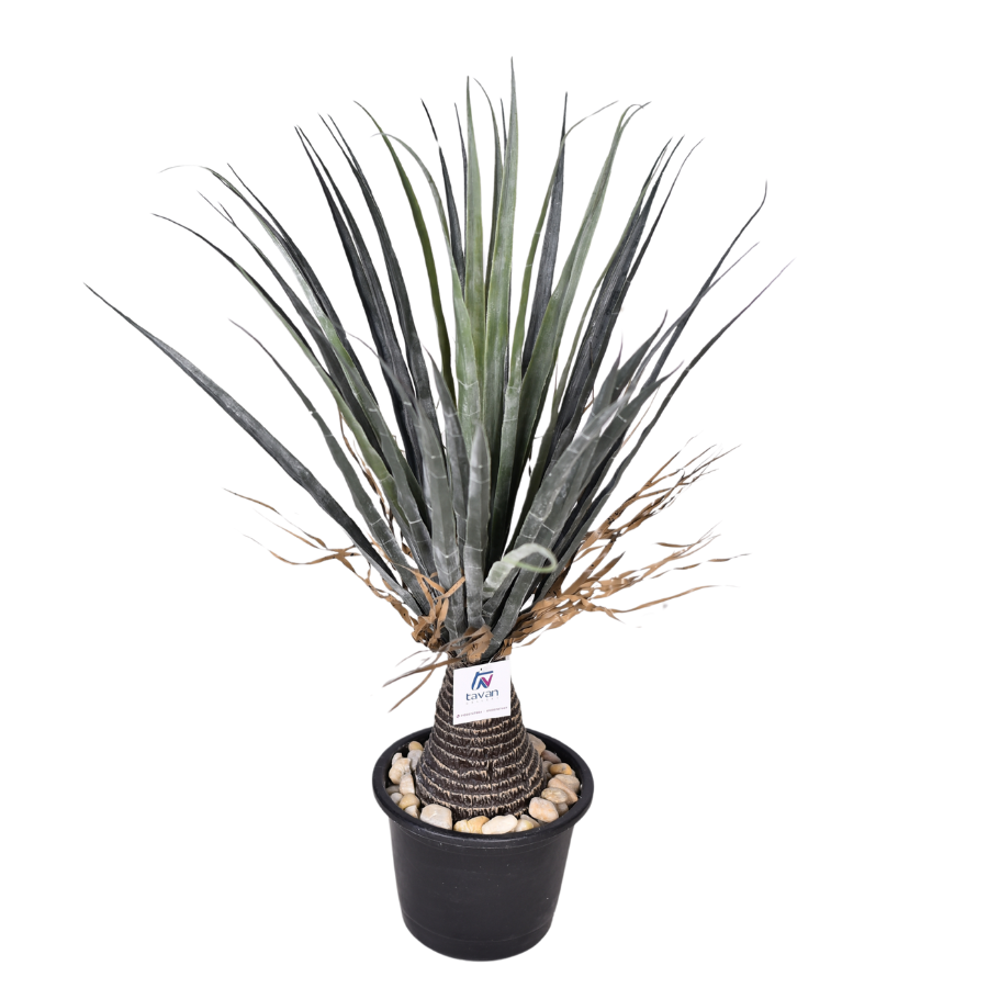 fTX7p68epInmp9EswuiaMAujpcLZD3SttpoOlnTl.png
