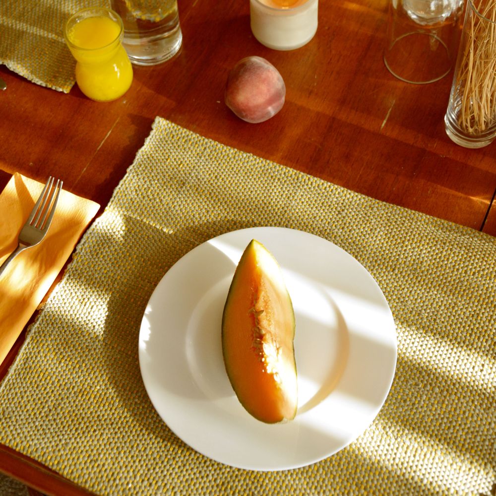 Rectangular Placemat 0