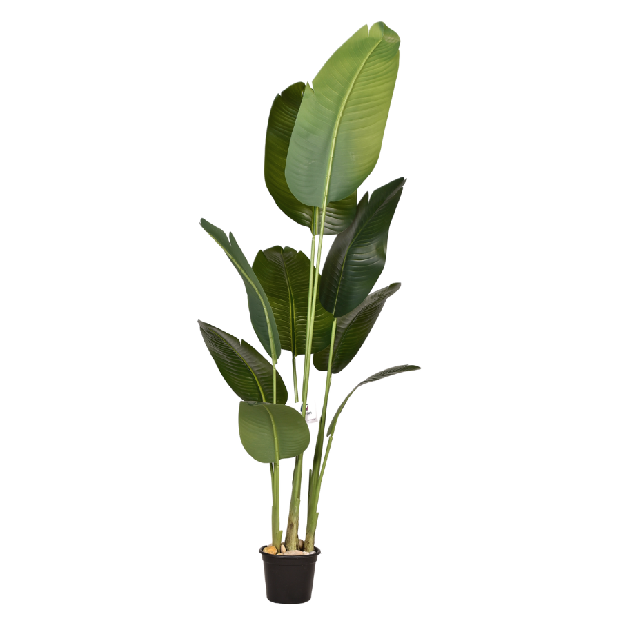 gGyR116jYHdlmOGfMFN96wbbe2T0TOST7V3vxkGP.png