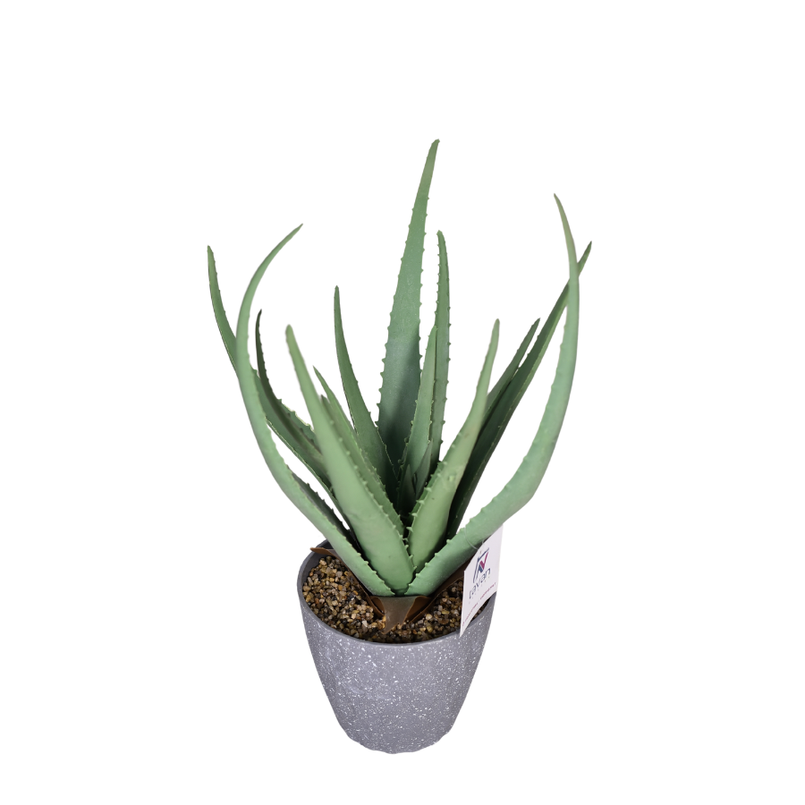 hQDrZY9j0yH9CLl987w1d4NL7n8GuUTV8pDXFnUL.png