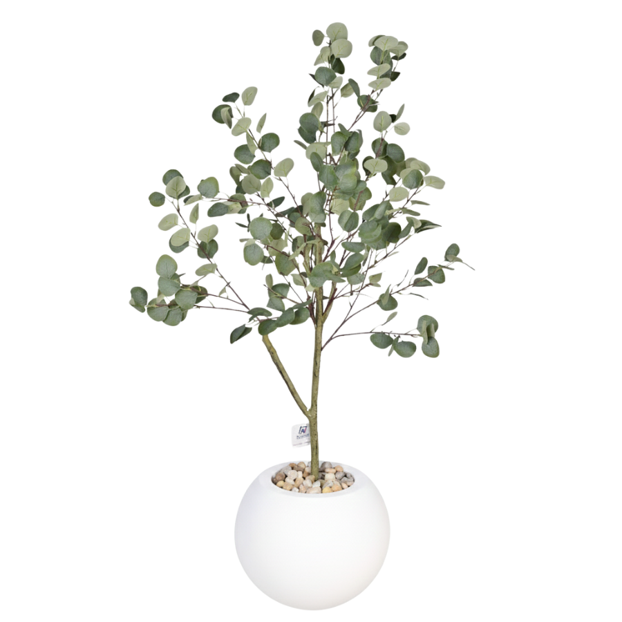 hbSP1l4R7tM5WBUwlKwBx2qf43xdkEkUJ1BAiSgD.png