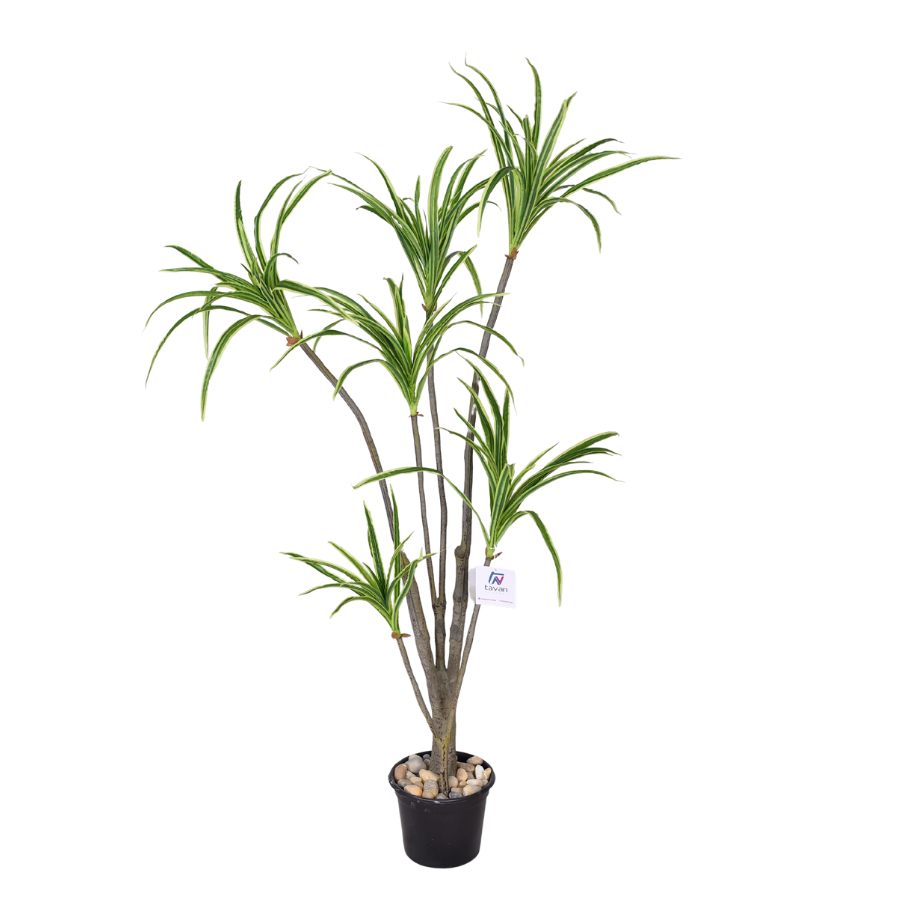 hfl9STyiktO7W6sSE0PPTRKCiUx3d2Bj64tfSFh8.png