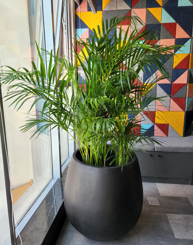 Fiberglass Pot 50x70 cm 1