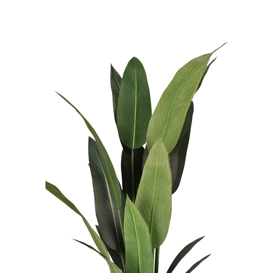 izPVgPAPdPJaXUl8ulSPjY0pSTCPRUAiYLVrOYkm.png