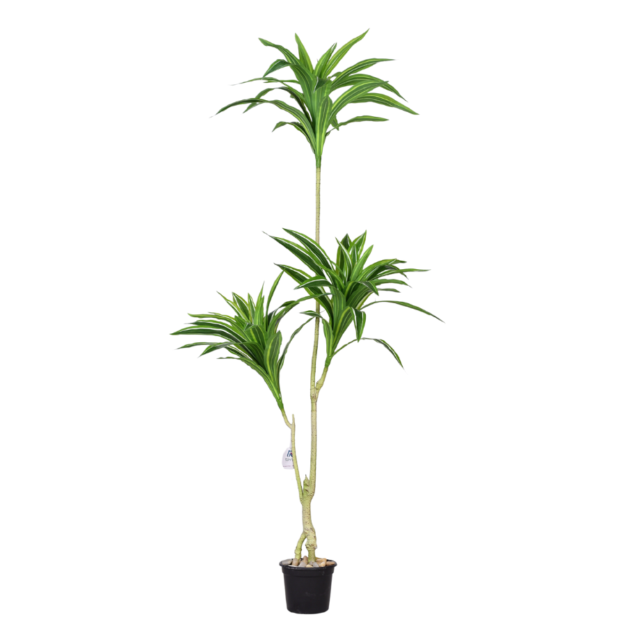 jTG03mVzEO7mrgjwwYqIa0P1UtBYHmO3sX5bQctZ.png