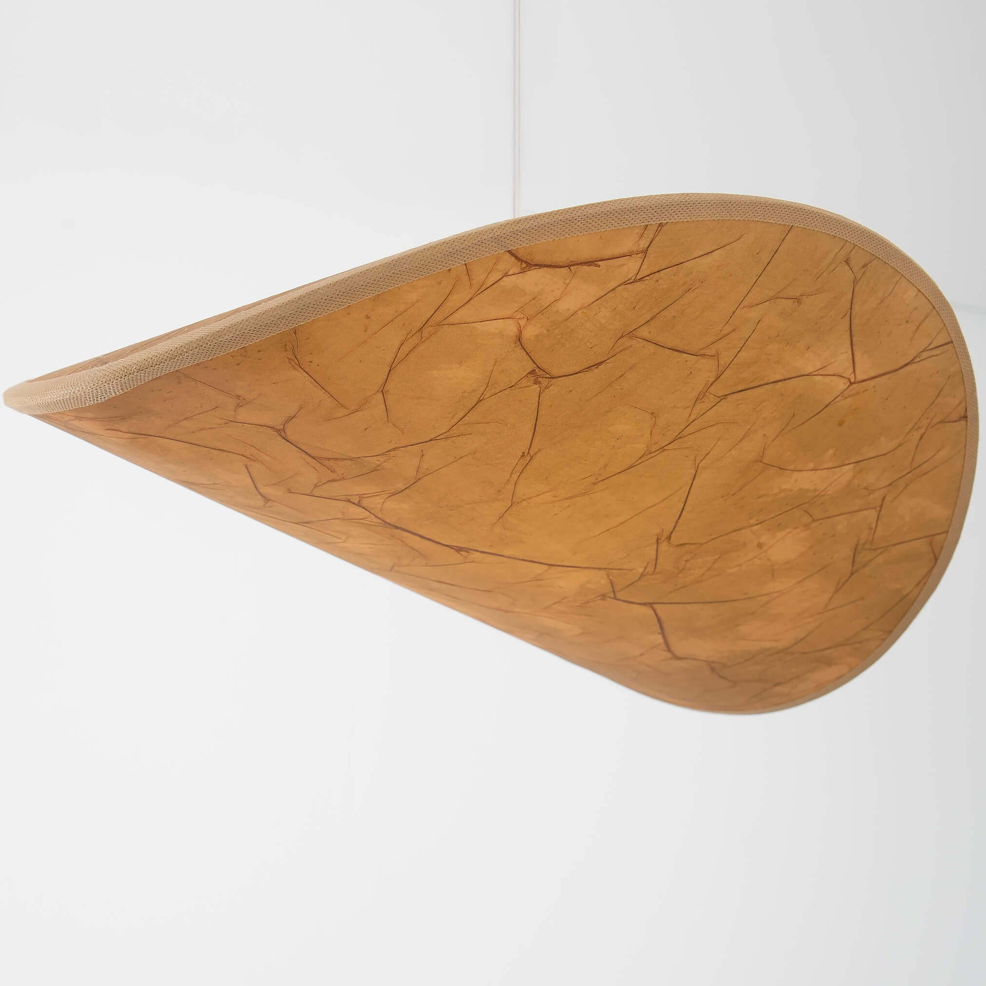 Trunks Ceiling Light ce_mo_11 1