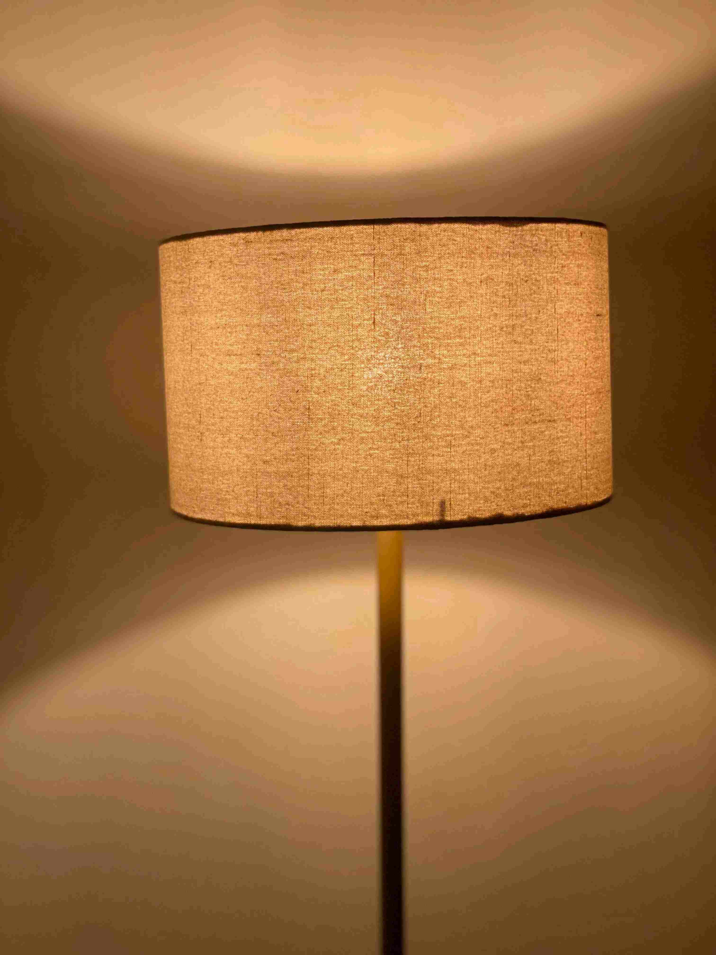 Minimalist Bronze Floor lamp RFL-47  Fl_Mo_247 3