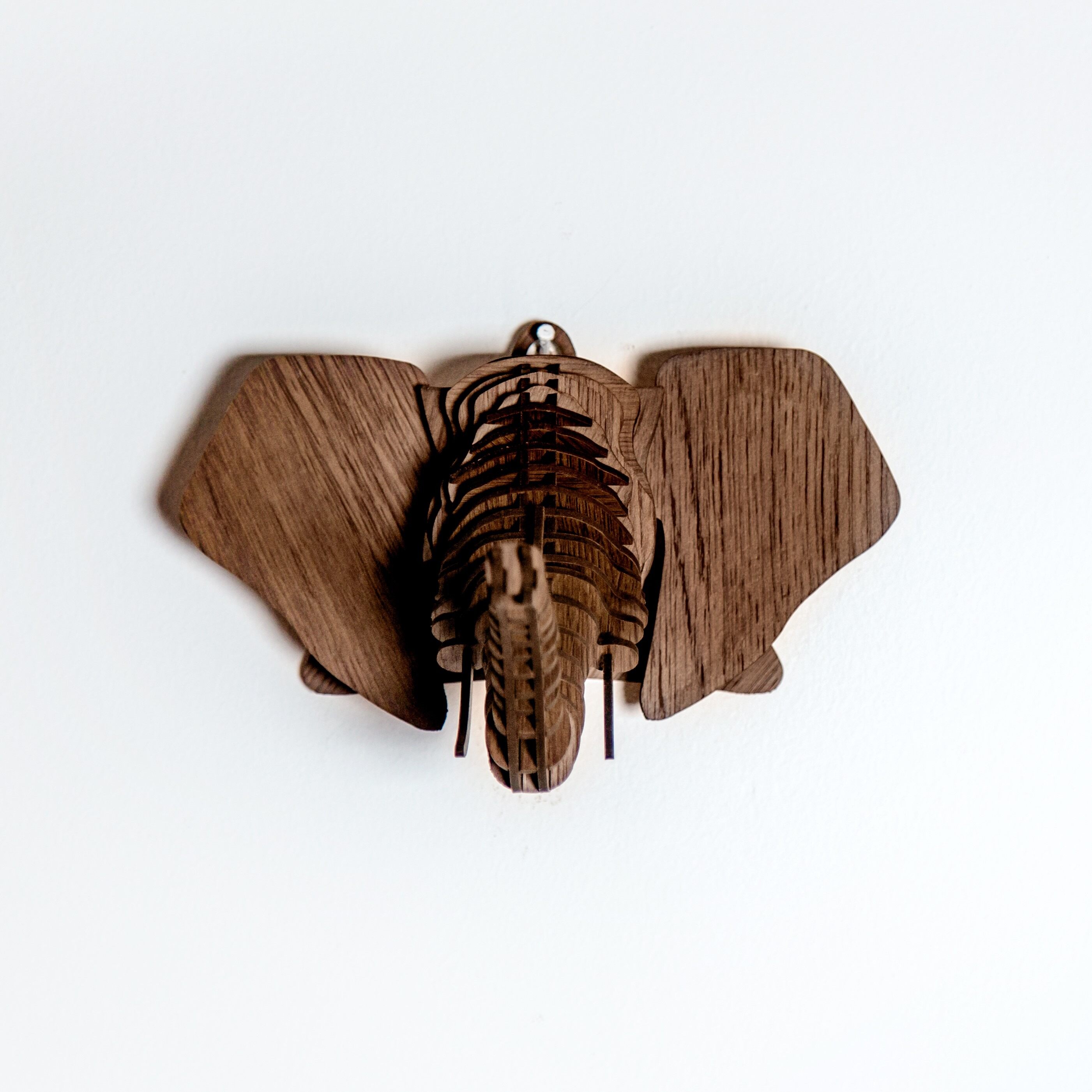 Dharma The Elephant Head 6