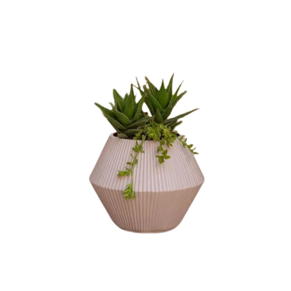 Fiber Plant Pot 0