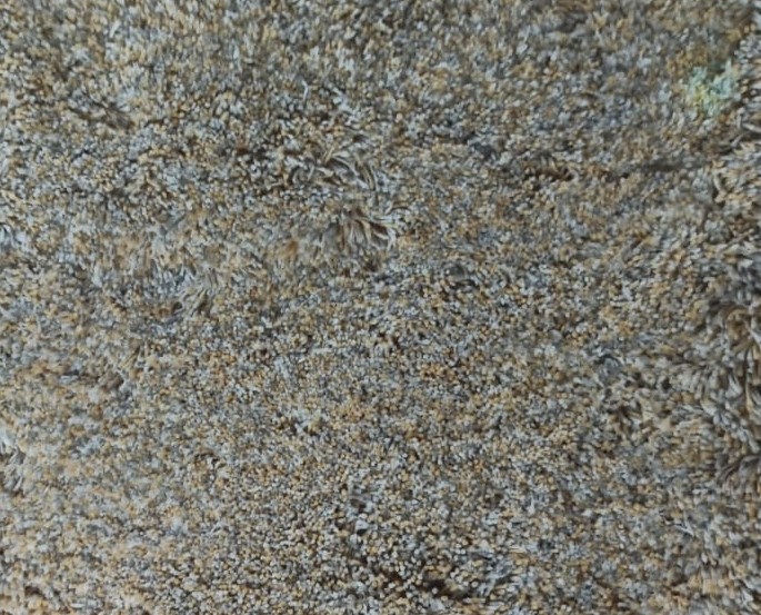 Hand-Tufted Acrylic Rug – Soft Texture With Modern Appeal 0