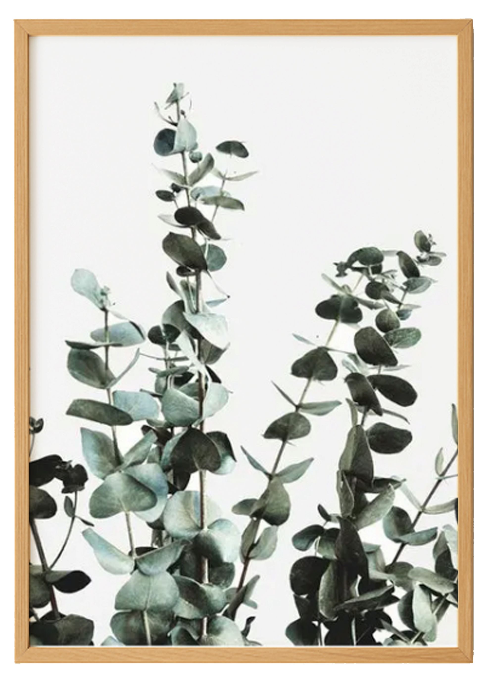 Green Leaves Print 2 0