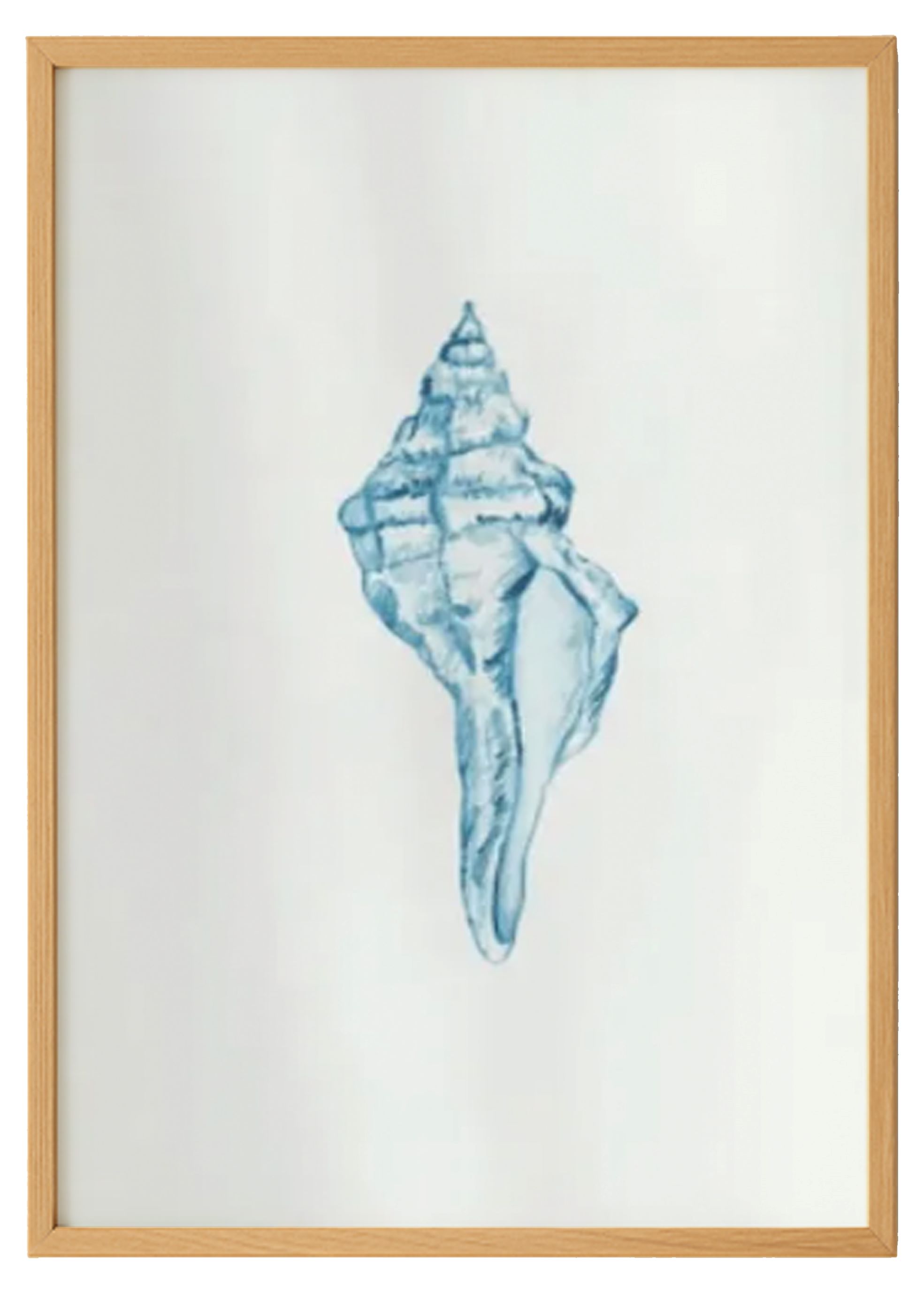 Watercolor Conch Shell Print 0