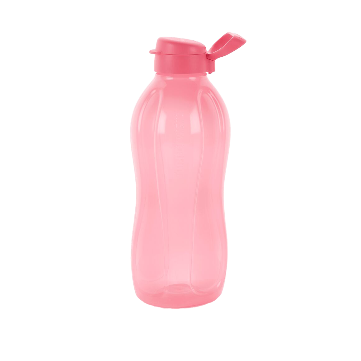 ECO+ Bottle 2L with Handle 0