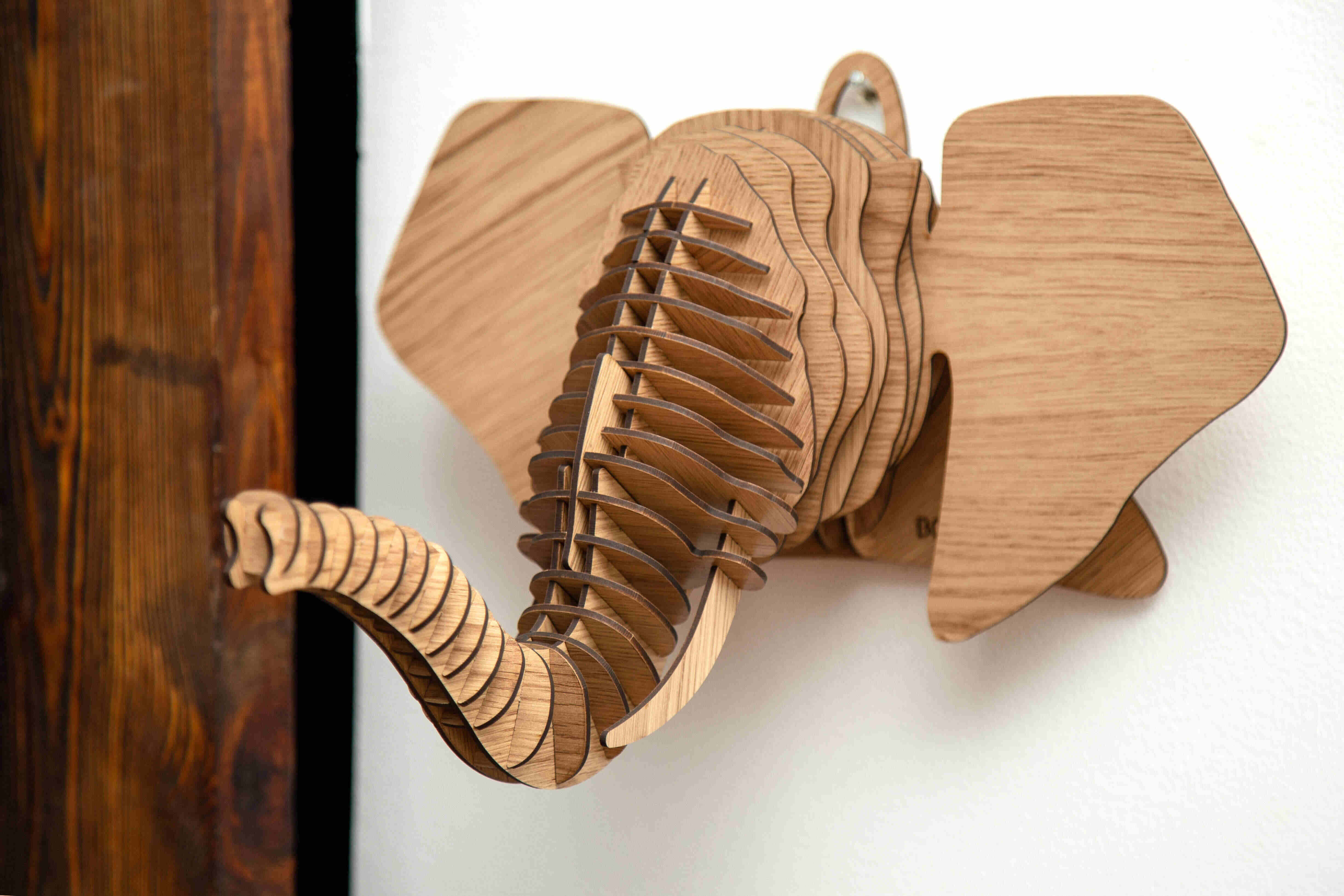 Dharma The Elephant Head 9