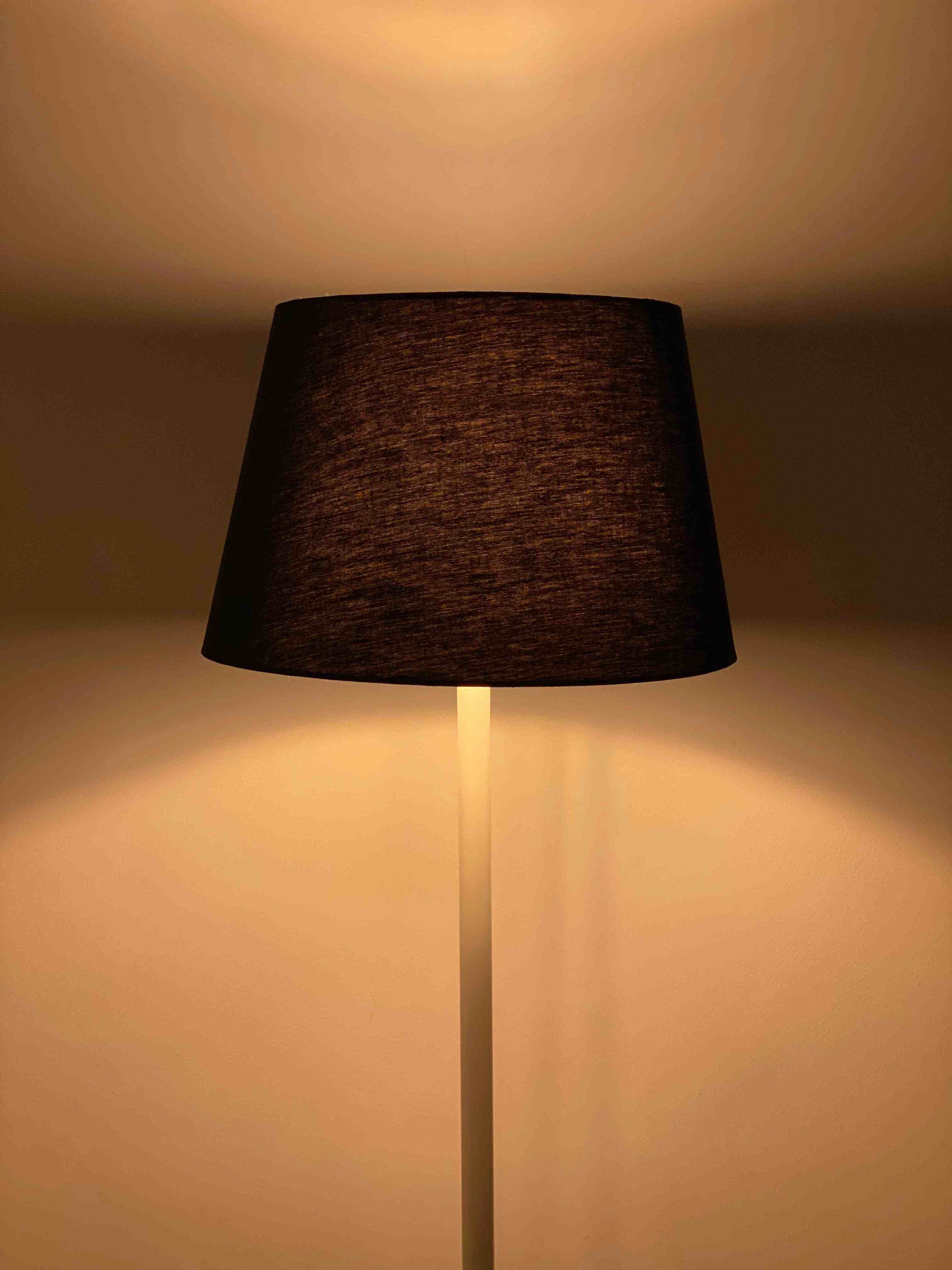 Modern Floor Lamp  Fl_Mo_033 4