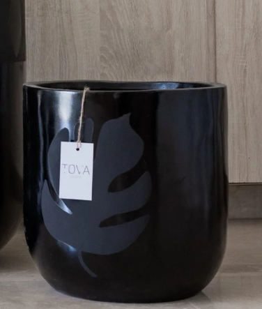 Black Leaf  Pot 0
