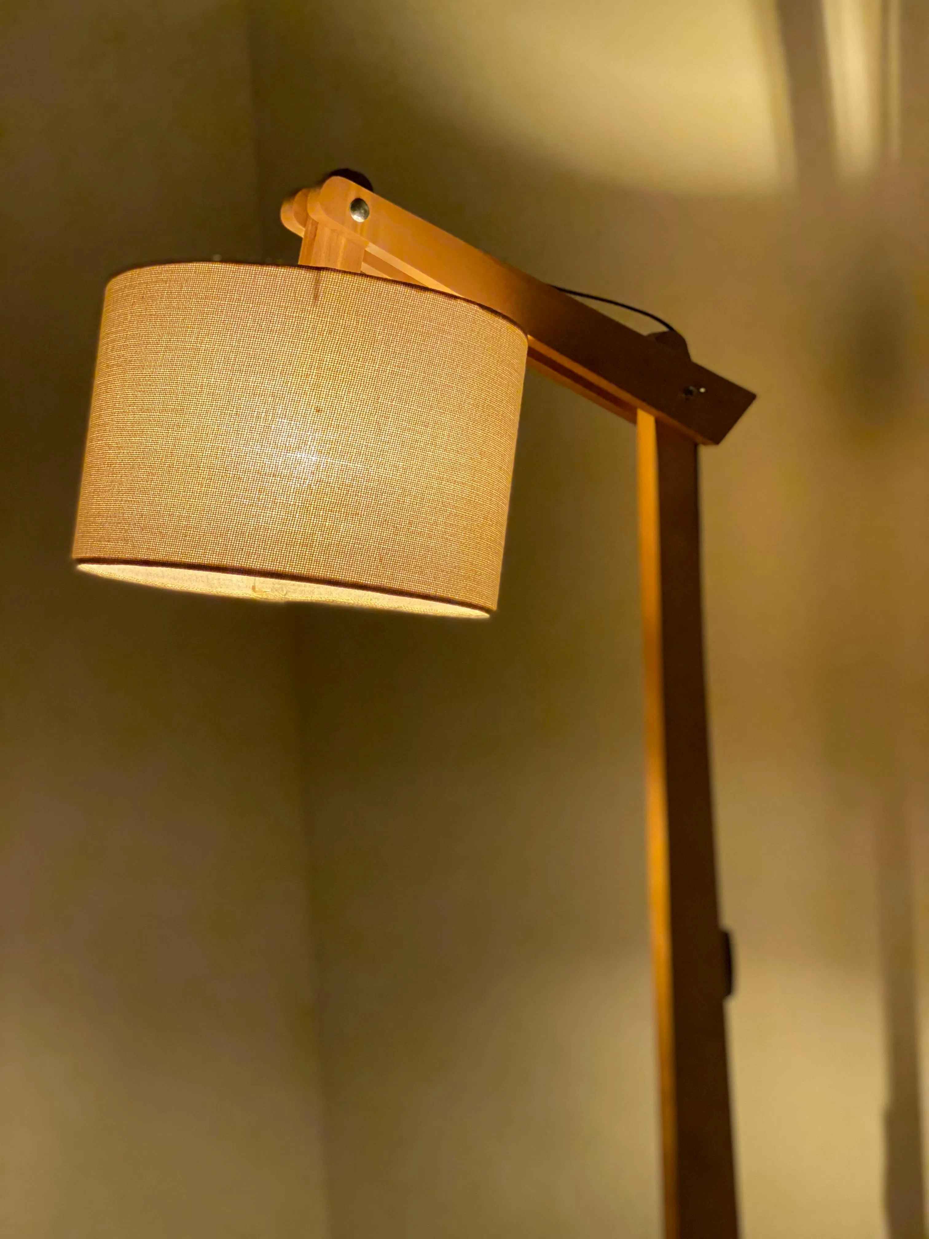 Modern Floor Lamp - T578 Fl_Mo_231 2