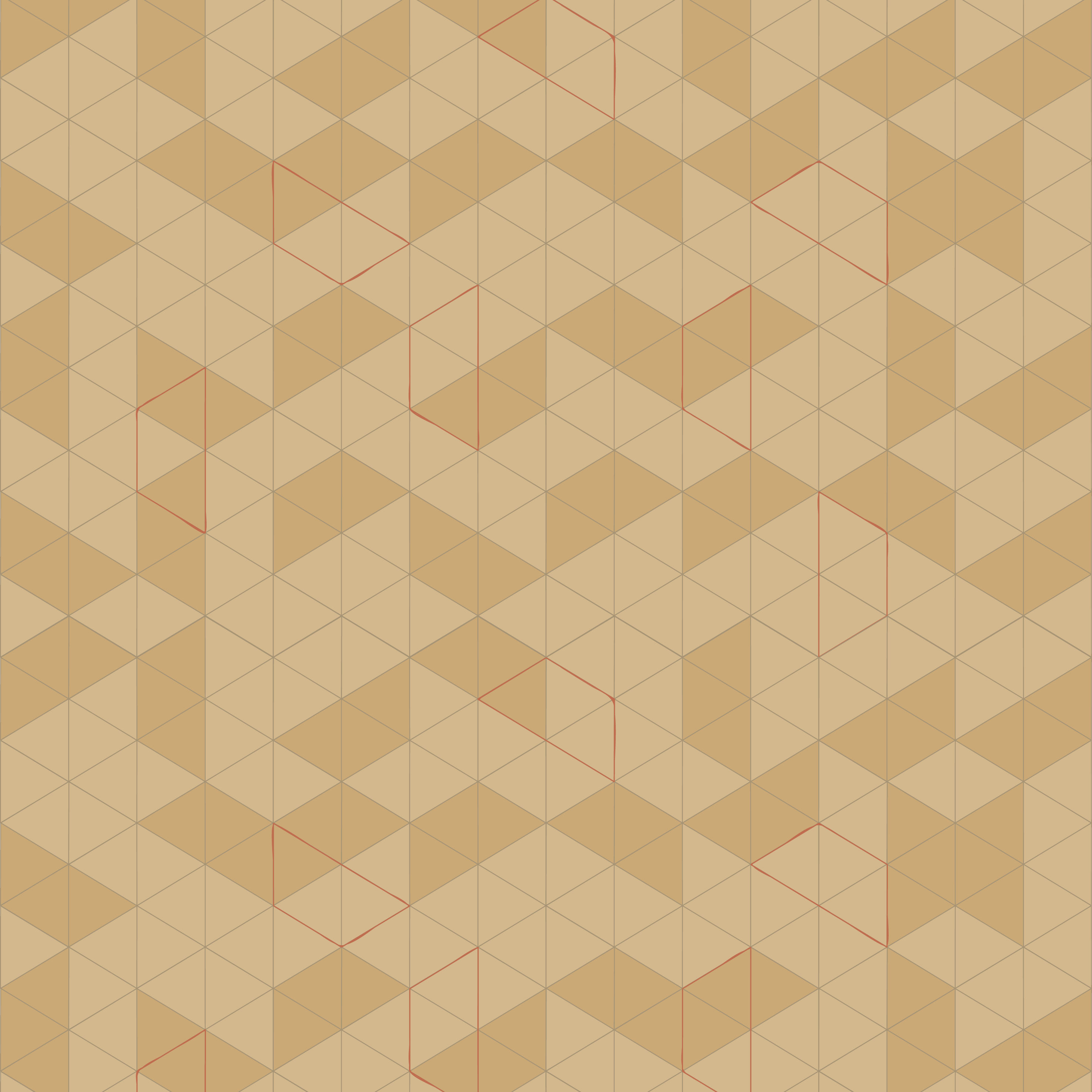 Grace Wallpaper 4