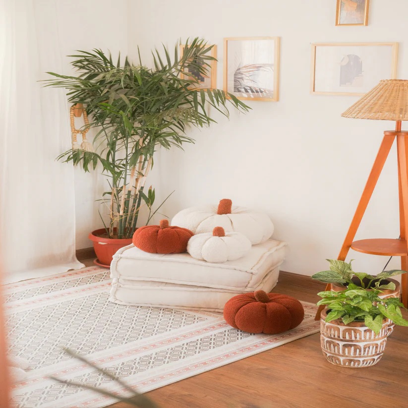 Pumpkin Cushion - Terracotta 5