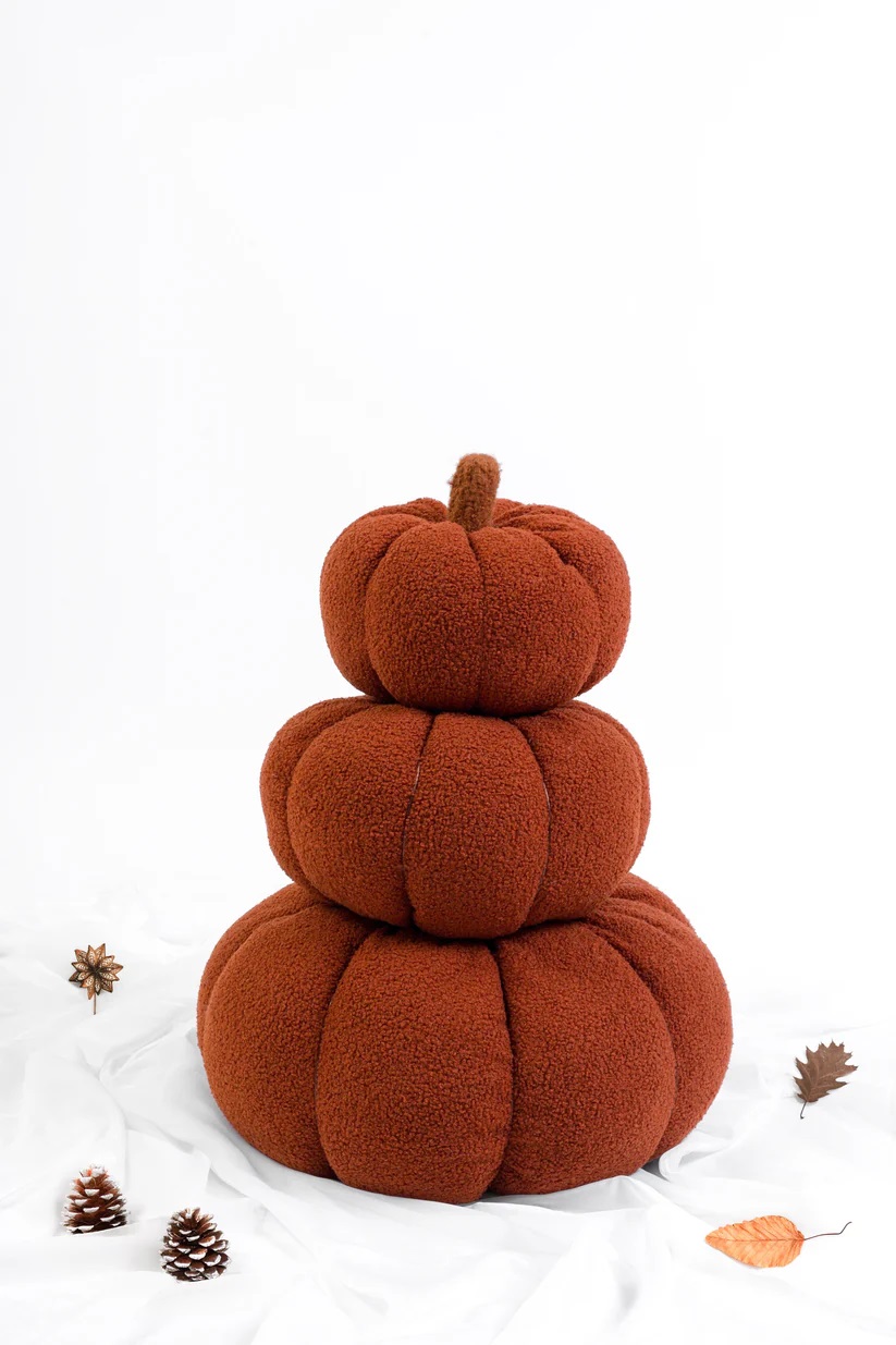 Pumpkin Cushion - Terracotta 0