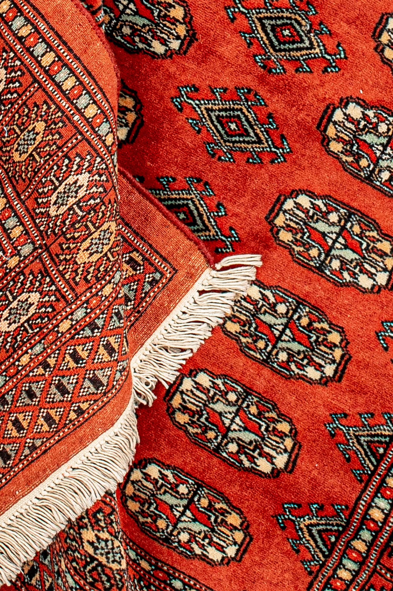 Pakistani Wool - Handmade Rug - Efreshli