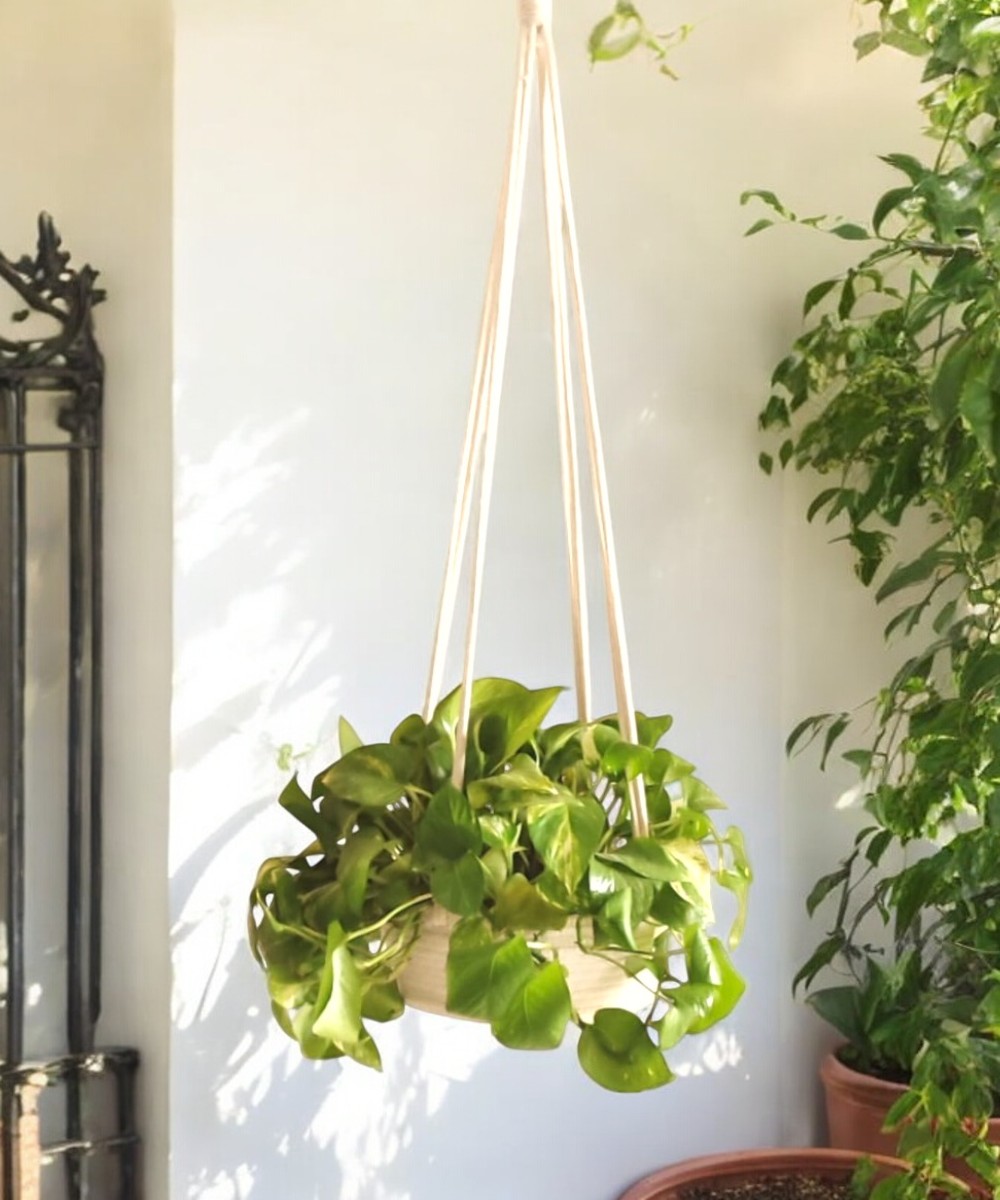 Cotton Hanging Plant Pot Basket 1