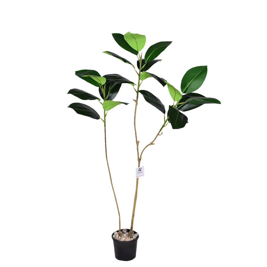 psq0BadVhiyUIj2hVOP8UDBGXAfLDFMTyWOSgbv6.png