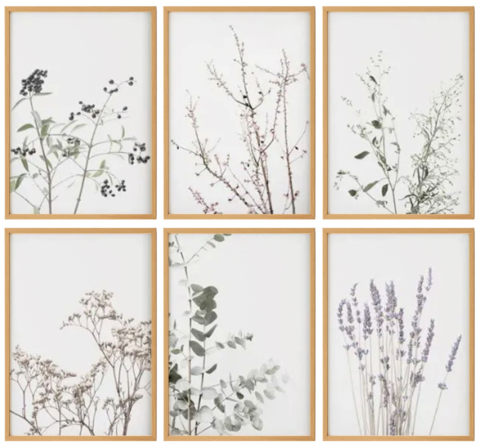 Blossom Gallery Wall Set of 6 0