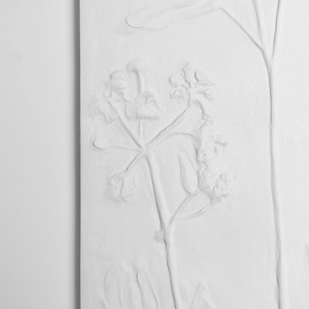 Flowers in the Field 2