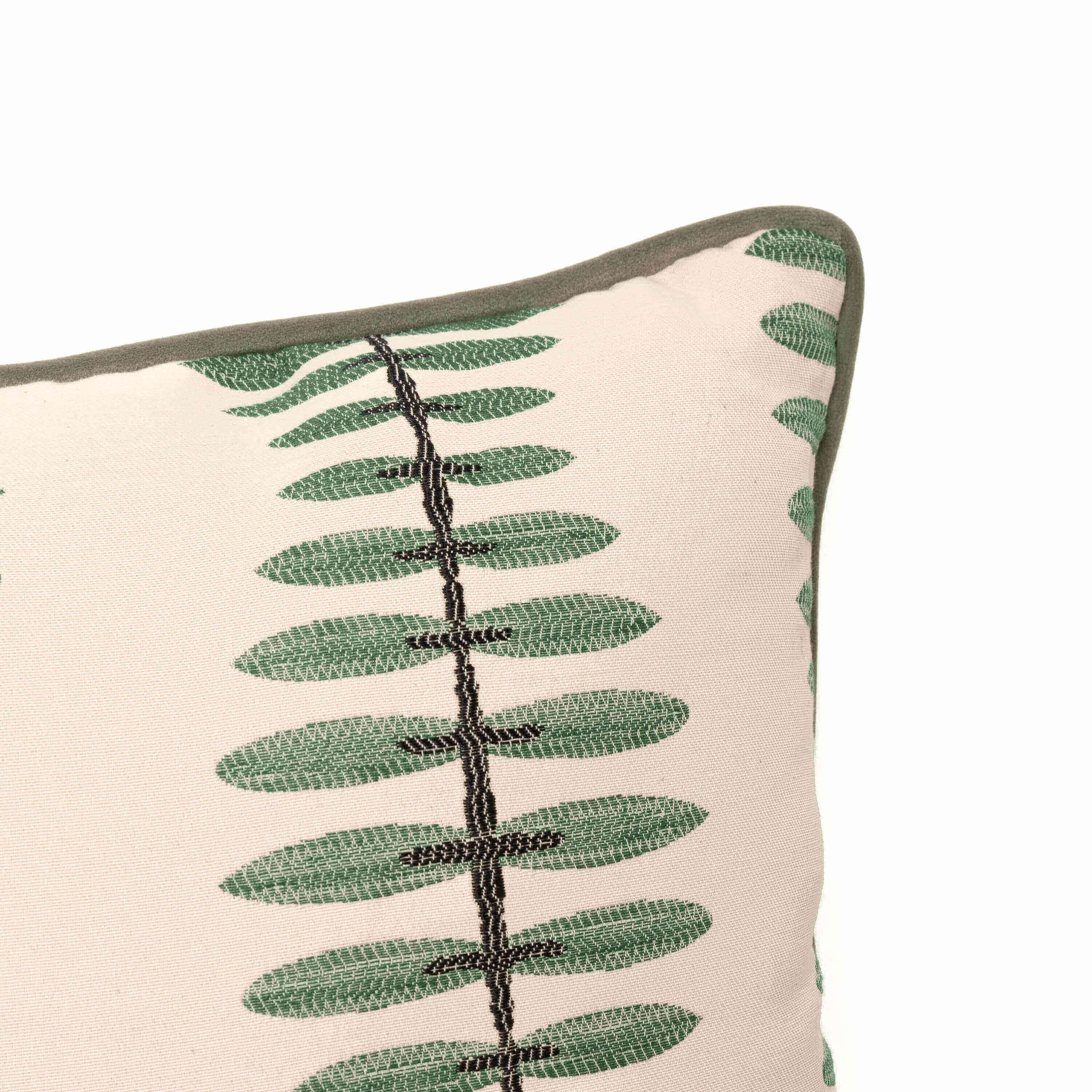 Botanicals - Olive Jasmine with Velvet 1