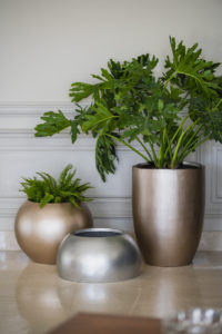 Elongated Metallic Pot 1