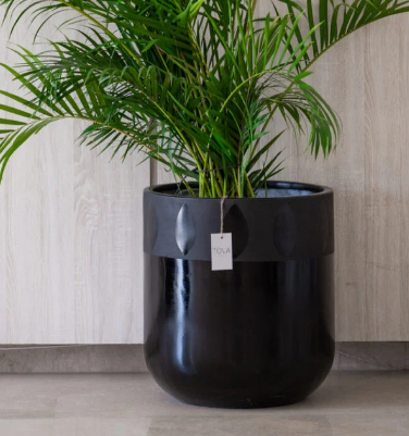 Black Pattern Print Pot 0