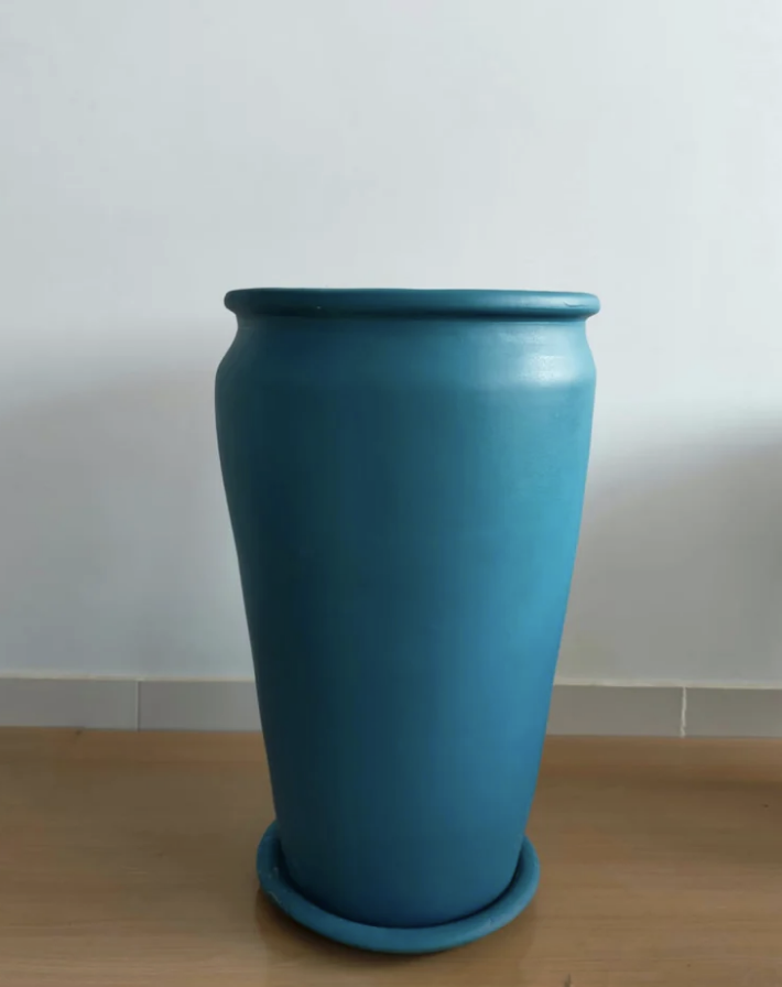 قصرية زرع طويلة 0