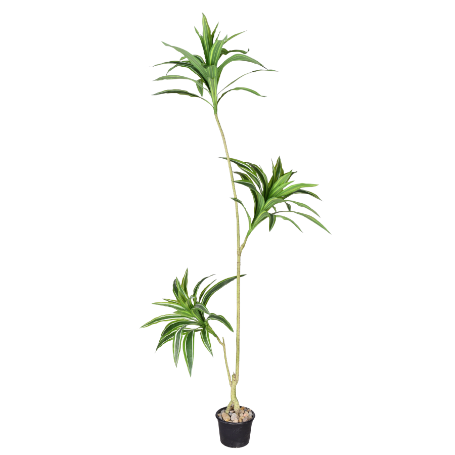sq0Jwetg3X9Wmip0aVvF6Y6Vm4jfNfFUZrzwtCZo.png